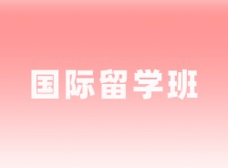 国际留学班