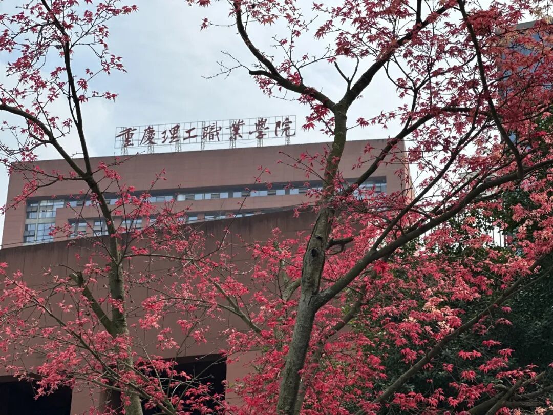 实训实习